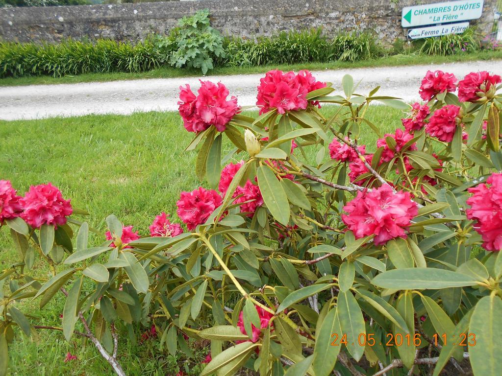 Ferme Manoir La Fiere Bed & Breakfast Sainte-Mere-Eglise Bagian luar foto